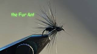 Tying the Fur Ant (Simple but deadly!)