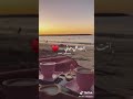 عارف كان أجمل شيء بحياتي حالات واتس اب
