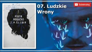 Video thumbnail of "PIOTR ROGUCKI - LUDZKIE WRONY (7 TRACK J.P. ŚLIWA)"