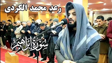 فجرية تدبرية تجبر القلوب على الخشوع #سورة_ابراهيم #رعد_الكردي