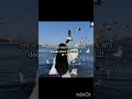 Sorry 😔... #fypシ🦋 #unfrezzmyaccount 💜 #youtubeshorts #foryou ✨