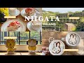 ［ Trip vlog ］時間を忘れてのんびり過ごす新潟•佐渡旅| 5:30起床⏰都会での不規則な生活をリセットする離島暮らし🐈🌿|ミッフィー展|カフェ巡りと観光etc..