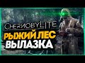 РЫЖИЙ ЛЕС. ПЕРВАЯ ВЫЛАЗКА СТАЛКЕРА ● Chernobylite