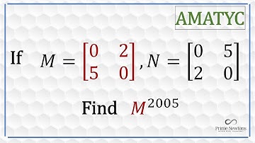 Matrix^2005 from the AMATYC 2005 exam