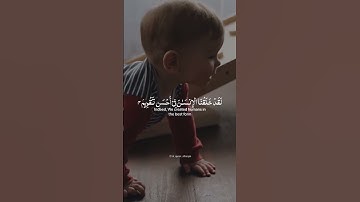 quran |سورة التين ياسر الدوسري