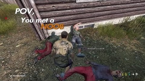 Meeting a DayZ noob
