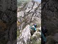 Teta Goca 81godina!