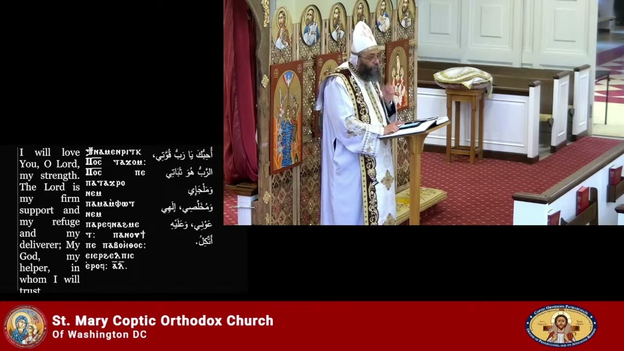 احبك يارب يا قوتى