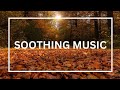 Deep Meditation Music for Inner Peace 🌊🧘‍♂️ | 1 Hour #MeditationMusic | Mindfulness Focus Vibes