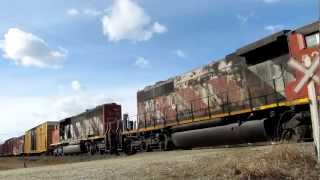 RARE Crazy Lash-Up Must See!!!!!! CN 416 (Mixed) @ Gainford AB C40-8M 2444 Leading