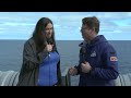 Artemis I Path to the Pad: Launch and Recovery