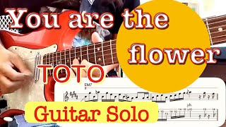 You Are The Flower, TOTO, Guitar Solo TAB・トト「ユー・アー・ザ・フラワー」ギターソロ・タブ譜あり