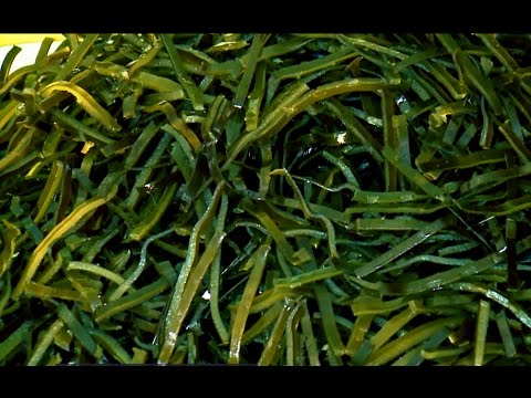 Морская валюта | Бизнес | Телеканал