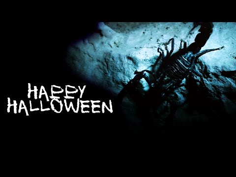 hunt you down [halloween collab]