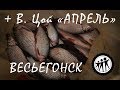 Последний лед... И все же хороший был день !