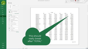 Control Excel page breaks with Page Break Preview