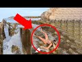 40 LUCKIEST PEOPLE EVER CAUGHT ON CAMERA!