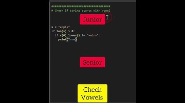 Junior Vs. Senior Python Developer #shorts #python #programming #coding