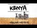 旅行摄影的6条秘籍 | 非洲肯尼亚大迁徙 | 经验 | 使用器材 |【彩蜂摄影生活杂志 Vlog #12】