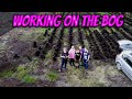 Working on the bog  // Ireland