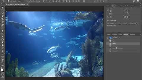 Photoshop CC - Levels, Curves, Brightness/Contrast, Exposure, Hue/Saturation, Color Balance
