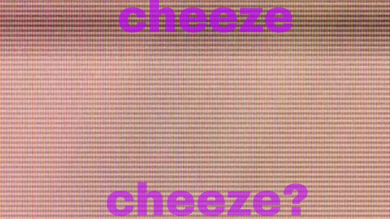that's what she said cheeze