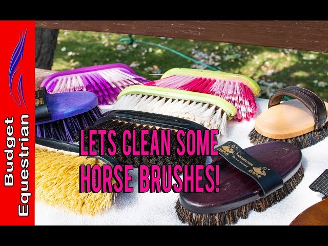 The Ultimate Leather Care Kit - Budget Equestrian