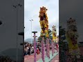 Lion dance performance