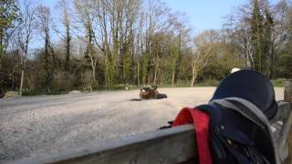 Riding, some bareback and turnout raws (inc. fall)