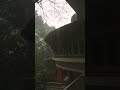 A Rainy Evening School Of Social Sciences 2022 Pullarikunnu Campus MGU 