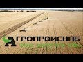 Уборка зерна техникой Ростсельмаш