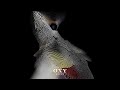 Oxy Fucci Official Audio Oxy Fucci Official Audio
