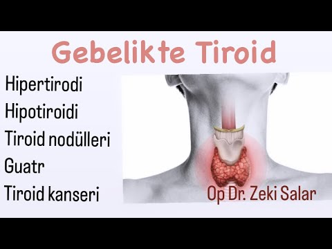 Gebelikte Tiroid Bezi Bozuklukları, Hipertirodi, Hipotiroidi, Noduller Ve Tiroid Kanseri