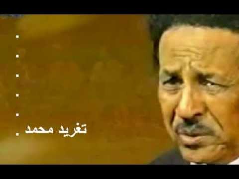 ابراهيم عوض هوى الروح انا عمري ما حبيت غير الجمال في الروح