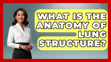 What Is The Anatomy Of Lung Structure? - All About Anatomy Answers
