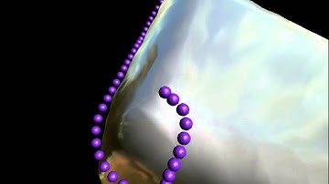 Wishy-washy snake on implicit surfaces