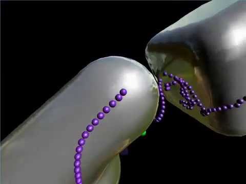 Wishy-washy snake on implicit surfaces