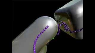 Wishy-washy snake on implicit surfaces