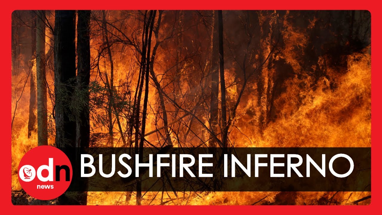 Australia Bushfires: How Fast Do They Spread? - YouTube