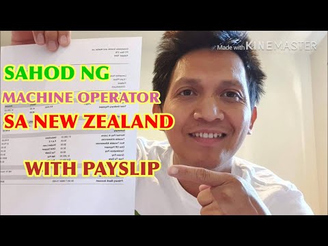 Technician Salary In New Zealand