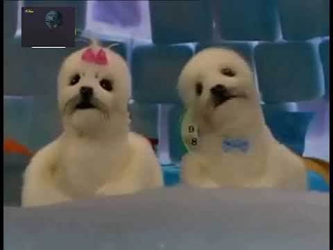 Igloo Gloo Ep 02 The Alarm Clock