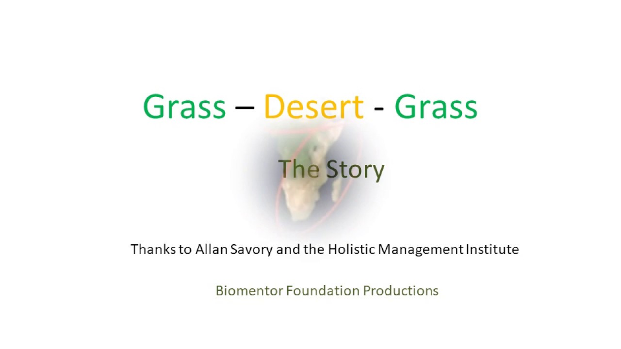 Grass - Desert - Grass