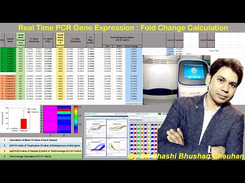 How to Analyze Real time PCR Data? | Real Time PCR Gene Expression Fold Change Calculation