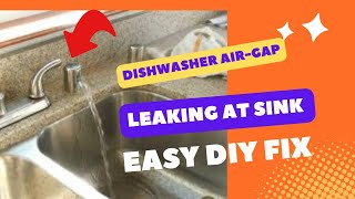 ✨ DISHWASHER DRAINS WATER AT AIR GAP - EASY FIX ✨