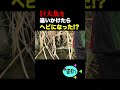 巨大魚を追ってたらヘビになる？訳の分からん事が起きた ww #釣り #fishing