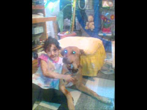 Shakira Rabiosa Version Ingles