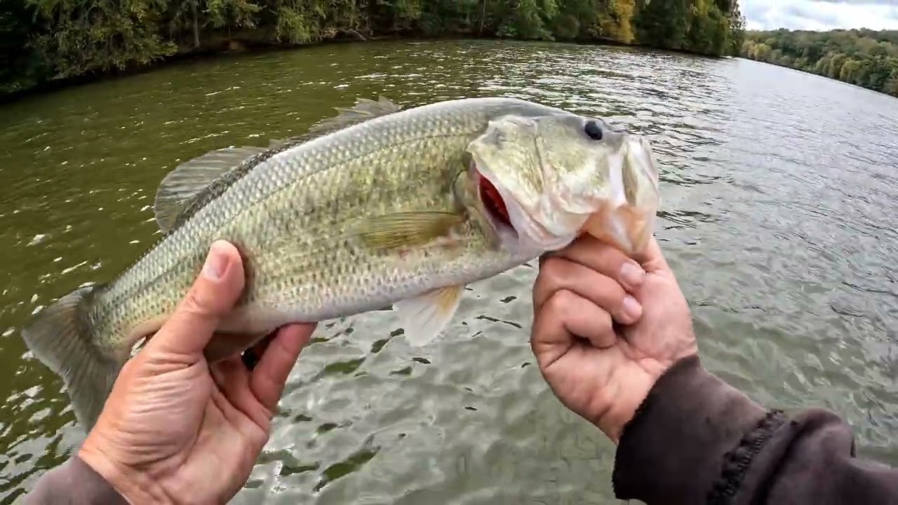 Time for fall transition bass fishing! (10/7/24)