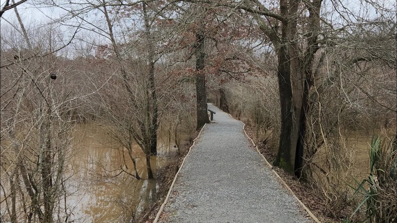 Hiking along the Ocmulgee River, Macon, 2023 YouTube