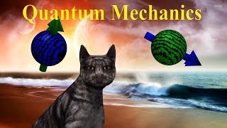 Celebrity Quantum Physics Simplified And Explained In Animation (Quantum Mechanics) Net Worth