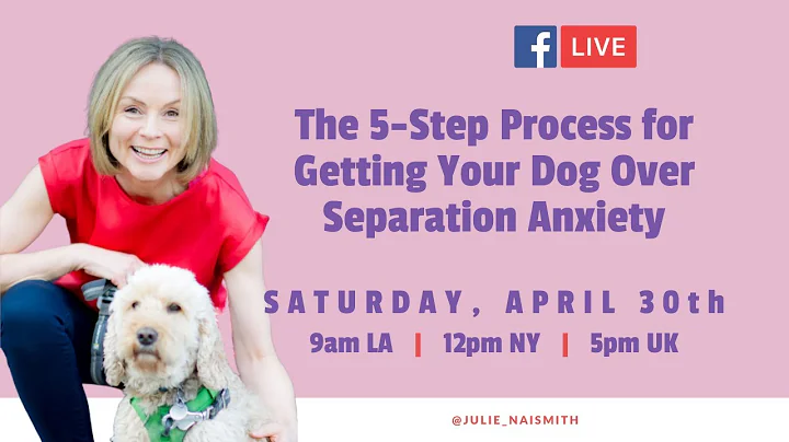 The 5 Step Process for Getting Your Dog Over Separation Anxiety